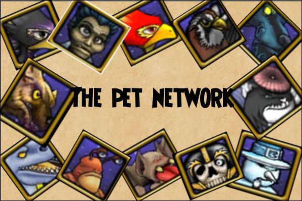 The Pet Network: Find YOUR perfect pet! Thepet10